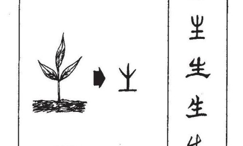 血米肠的吃法大全视频讲解-血肠好吃还是米肠好吃专区_血米肠的吃法大全视频讲解专区_血米肠功效网
